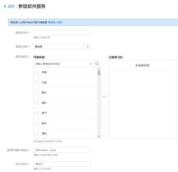 軟件服務與軟件開發(fā) 創(chuàng)新驅(qū)動下的雙核引擎